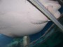 Oceanarium (11) * 2032 x 1524 * (285KB)